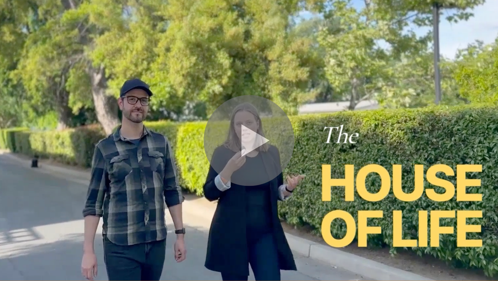 House of Life video preview artwork.